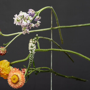 James Henkel, Floral (detail), 2023. Courtesy of Tracey Morgan Gallery