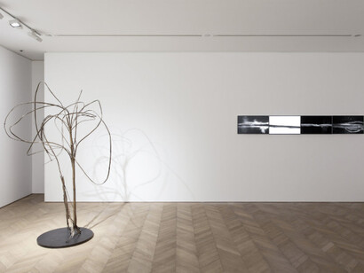 Xiao Yu. Courtesy of Pace Gallery