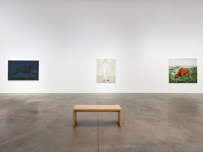 Tanya Merrill, Land animal, house animal, exhibition view. Courtesy of 303 Gallery
