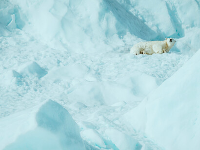 Cambiamento climatico. Oggi proprio il cambiamento climatico sta snaturando tutto questo mondo e con esso in prospettiva la vita sulla terra