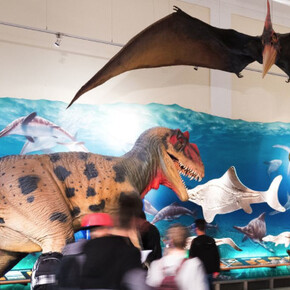 Prehistoric Times and Dinosaurs. Courtesy of Haus der Natur 