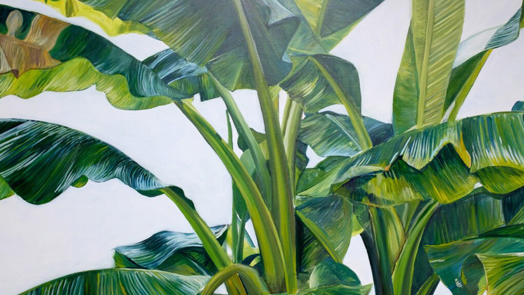 Marina Le Gall & Agathe Brahami-Ferron. Courtesy of Antonine Catzéflis Gallery