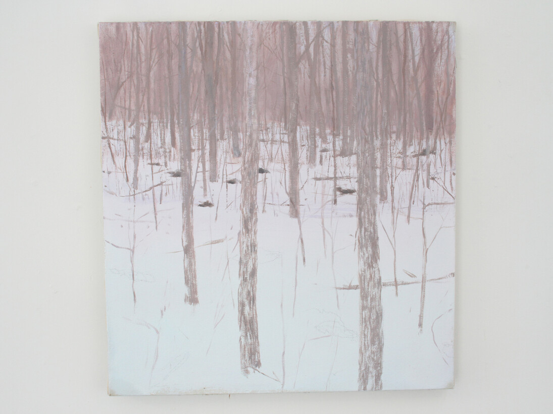 Scott Collbreth