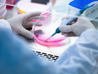 La ricerca scientifica in Italia