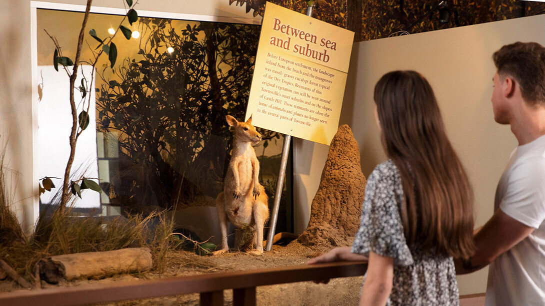 At home in the tropics, exhibition view. Courtesy of Queensland Museum Tropics