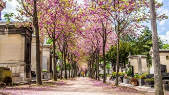 Il cimitero di Montparnasse a Parigi, Francia