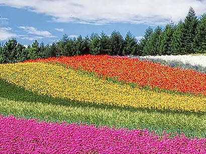 Should humans be the custodians of nature?