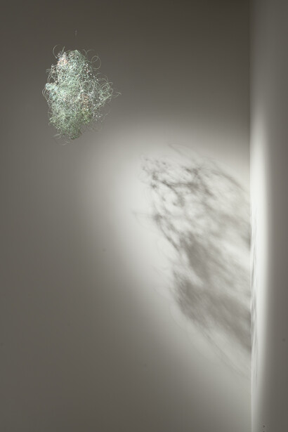 Weerhoud, exhibition view. Courtesy of ARoS