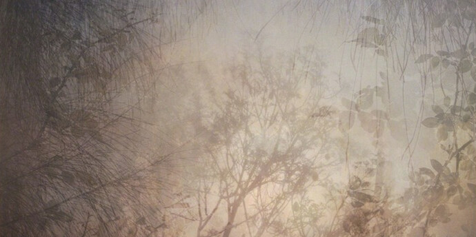 Into the Wilderness. Courtesy of Flinders Lane Gallery
