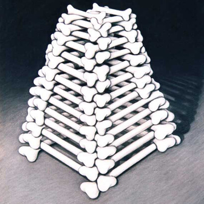 Bone Structure, pastel on paper, 100 x 70 cm, Mark Weighton 1993