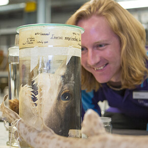 Behind-the-Scenes Tour: Spirit Collection. Courtesy of Natural History Museum
