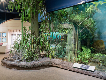 Benedum Hall of Geology. Courtesy of Carnegie Museum of Natural History