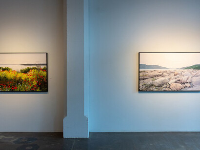 Passage. Courtesy of Galerie D'Este