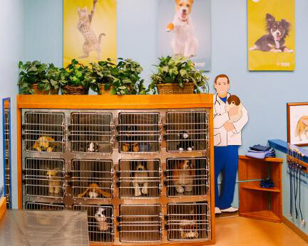 Pet Hospital. Courtesy of Portland Children's Museum