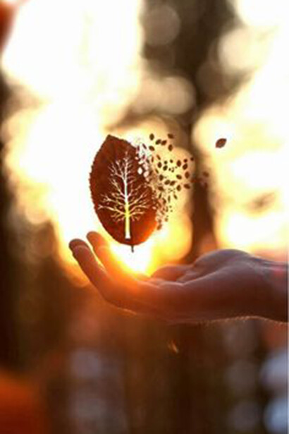 Inspiration