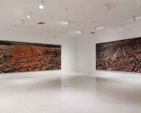 Regeneration Series, Exhibition view. Courtesy of NSU Art Museum