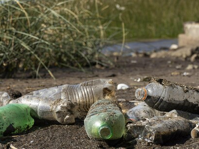 Projeta-se que por ano surjam cerca de um milhão de casos da doença no universo com cerca de 50000 óbitos (Costa, et al., 2014). Esses números são provavelmente desconsiderados, uma vez que a maioria dos casos não são identificados ou notificados corretamente, especialmente em países em desenvolvimento (Adler, 2015)

