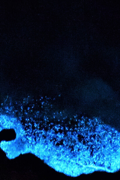 As colônias de bactérias que causam o mar leitoso estão associadas a altos níveis de matéria orgânica, indicando eventos ecológicos significativos