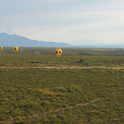 Modern and Contemporary Art. Courtesy of Princeton University