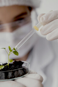 A scientist waters a small plant in the lab, reflecting the nurturing side of biotechnology and future farming