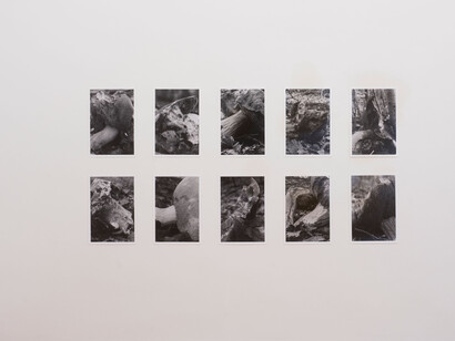 Peter Piller, Bürgerliche dämmerung (Civil twilight), exhibition view. Courtesy of Galerie Barbara Wien