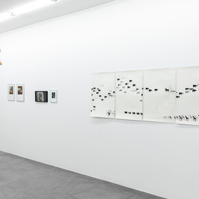 Various artists, Hay un pájaro azul en mi corazón (There’s a bluebird in my heart), exhibition view. Courtesy of Gallery Hache. Photo by Ignacio Iasparra