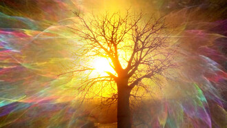 La fuerza de la naturaleza