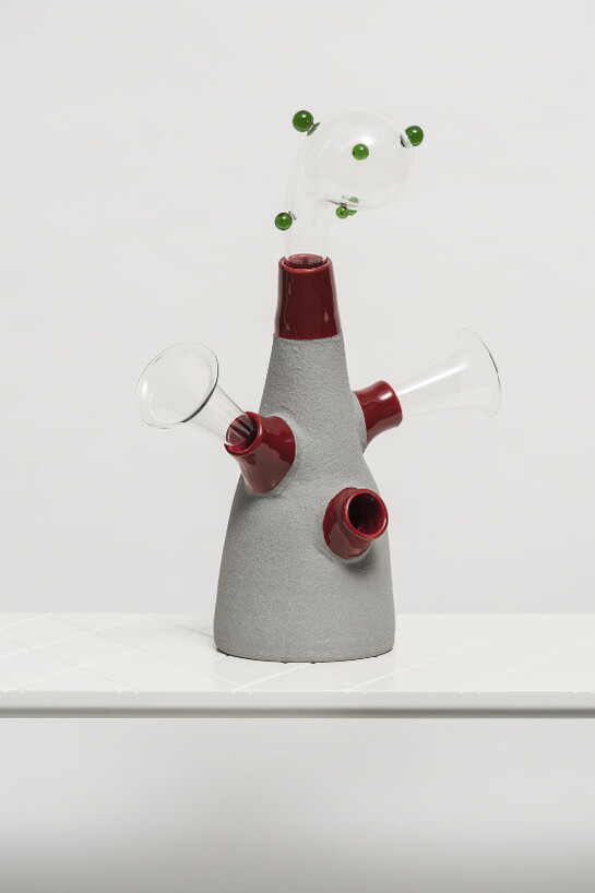 Dermapoliesis by Matteo Cibic. Courtesy of Seeds