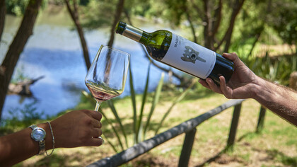 Copa y botella de vino de Viña Maquis