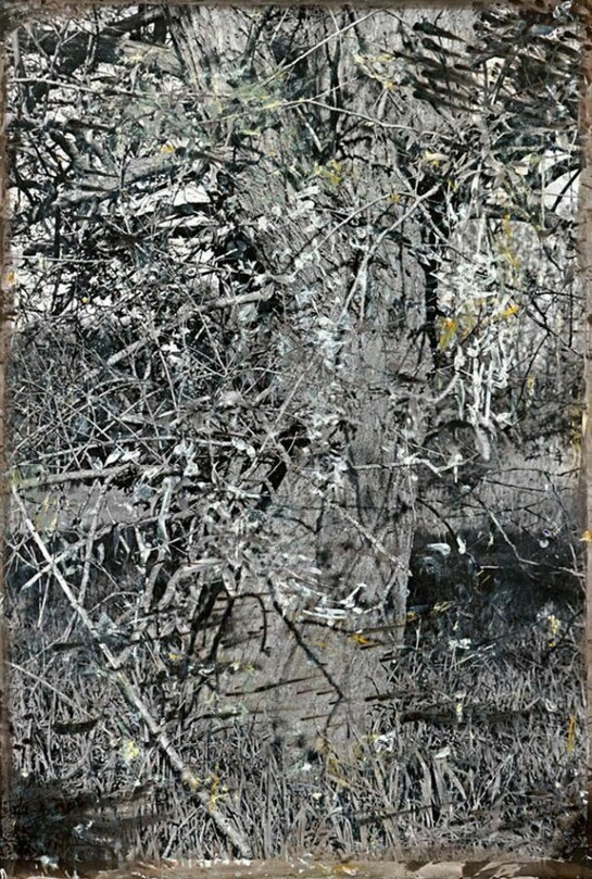 Jeff Cowen, Untitled Kleinmachnow, 2012, Mixed Media on Silver Gelatin Print, 176 x 127 cm, 69 1/4 x 50 in. Unique © Jeff Cowen, Berlin