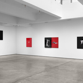 Sarah Charlesworth, Desire and seduction, exhibition view. Courtesy of Paula Cooper Gallery