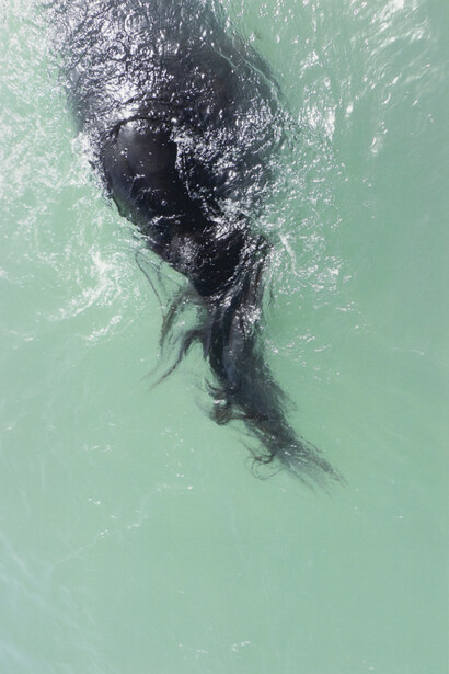 
JITKA HANZLOVÁ
#40 Untitled, 2012 (Swimming)
from HORSE 2007-2014,
archival pigment colour print on OBA- & acid-free, 100% cotton paper
edition of 8, ed. 7/8
image 27 x 18 cm (10 5/8 x 7 1/8 in.)
framed 48 x 37.5 cm (18 7/8 x 14 3/4 in.)
