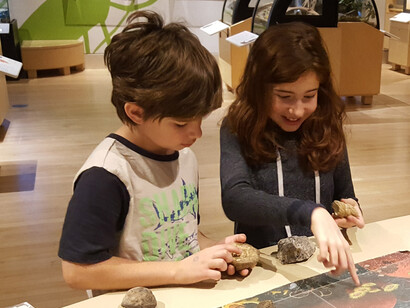 Nature Live. Courtesy of Canadian Museum of Nature