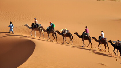 The Sahara desert