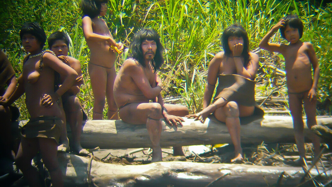 © Jean-Paul Van Belle, Pictures from 2011. Uncontacted Mashco-Piro Indians on a riverbank near the Manú National Park. Dozens of encounters between uncontacted Mashco-Piro Indians, tourists and settlers have been recorded in recent years.
