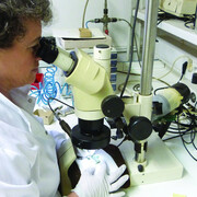 National Museum of Slovenia