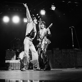 Ted Gartland, Glimmer Twins (detail), Archival Pigment Print, 16” x 20”. Courtesy of the artist and Panopticon Gallery