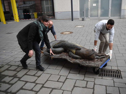 Anaconda, piece in exhibition. Courtesy of Senckenberg Naturmuseum
