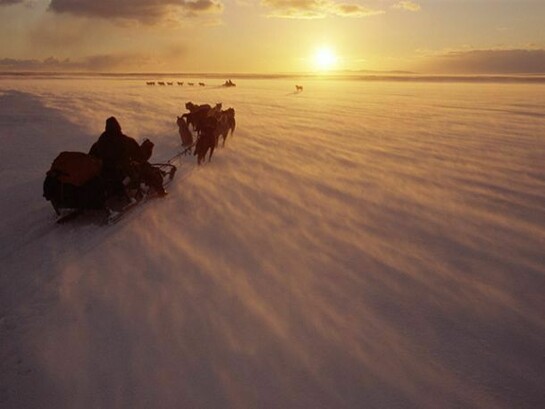 Chukchi hunters travelling by dog sled near Dezhnovka. Chukotskiy Peninsula, north east Siberia. (2006)
