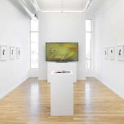 Ella Weber, A lazy love, exhibition view. Courtesy of Western Exhibitions
