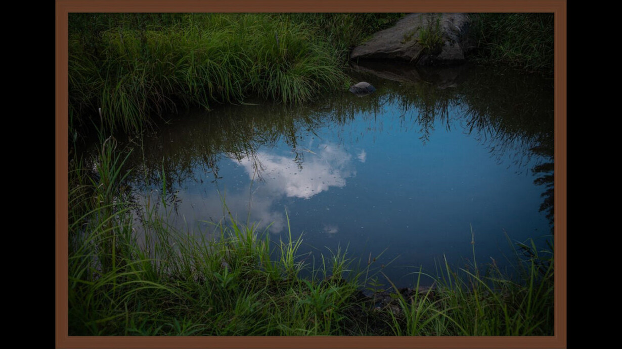 Stephen's Pond, 2019. Archival pigment print, 20 x 30 inches (framed dimensions: 21.5 x 31.5 x 2 inches). Courtesy of Winston Wächter Fine Art Seattle