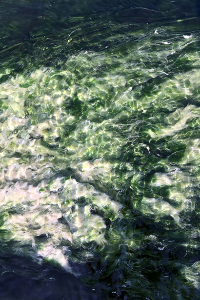 Jitka Hanzlová, Ur #3, 2018 (from the series WATER 2013-2019), chromogenic print, 22 13/16x16 15/16 inches. Courtesy of the artist and Yancey Richardson Gallery, New York