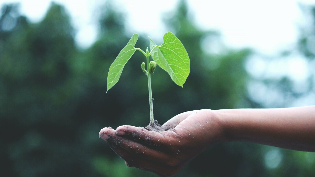 Let's nurture our environment. Environmental sustainability focuses on the ecology or environment that offers the resources 