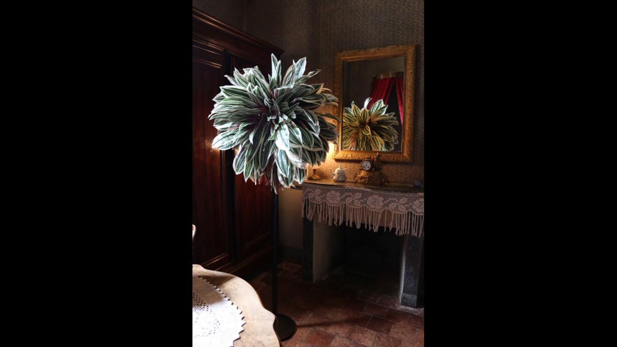 Utopia Botanica. Courtesy of Laure Roynette Gallery