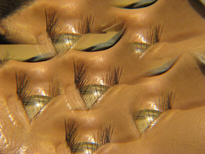 Beatrice M. Serpieri, Spatium serenitatis