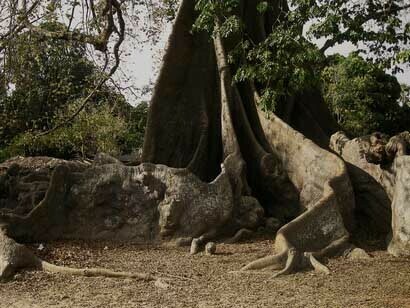 Así como podemos aprender diferentes habilidades que mejoran nuestra calidad de vida, podemos ser más resilientes