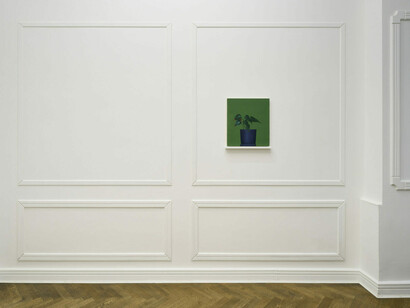 Tomasz Kręcicki, Power plant, exhibition view. Courtesy of Stereo Gallery