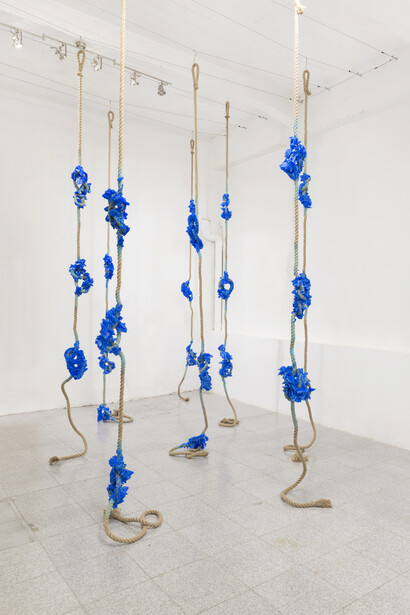 Cordis, cristallizzazione di solfato di rame su cime da ormeggio, dimensioni variabili, 2018