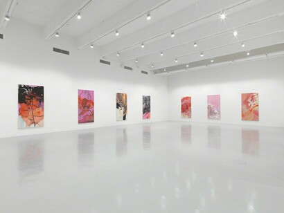 Rita Ackermann, Kline Rape, Exhibition view. Courtesy of Hauser & Wirth
