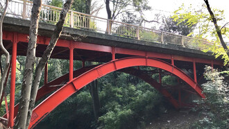 Golf Bridge © Alma Reyes